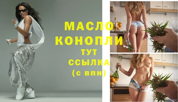 стаф Дмитров