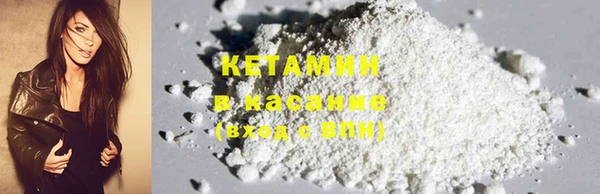 стаф Дмитров