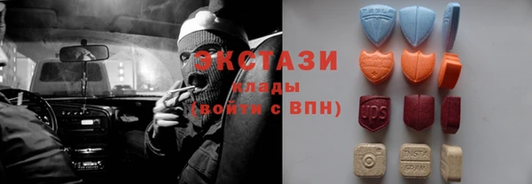 стаф Дмитров