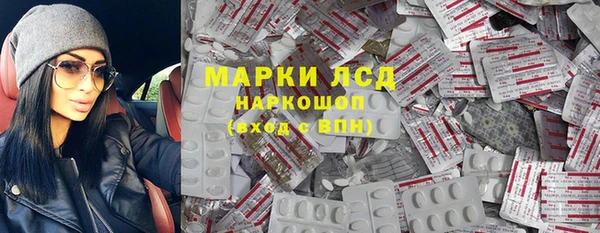 стаф Дмитров