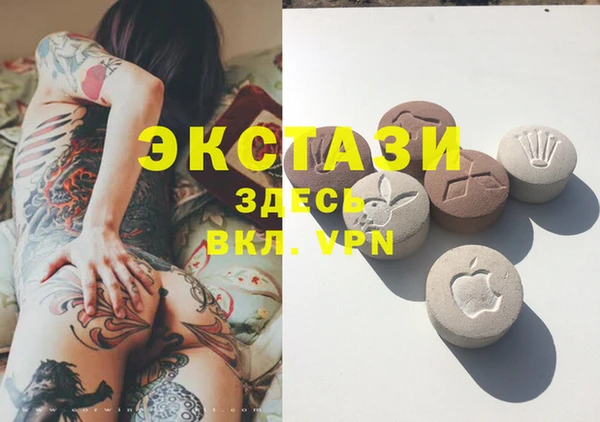 стаф Дмитров