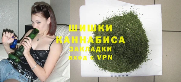 стаф Дмитров
