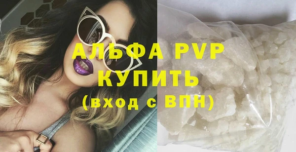 стаф Дмитров
