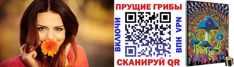 Купить где  Мурино  Псилоцибиновые грибы MAGIC MUSHROOMS 