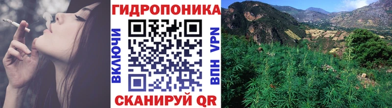 Каннабис план  Купить где  Мурино 